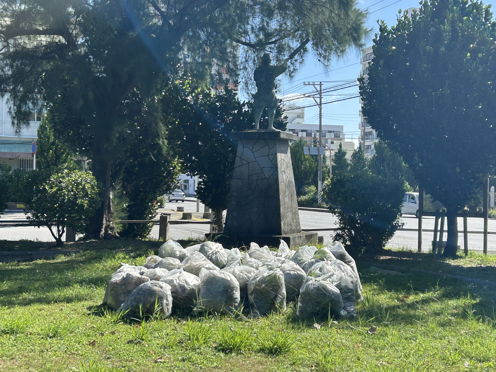 清掃活動に参加しました！